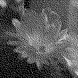 immagine ad 1 bit per pixel (effetto dither)