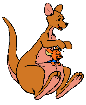 Mamma e cucciolo canguro